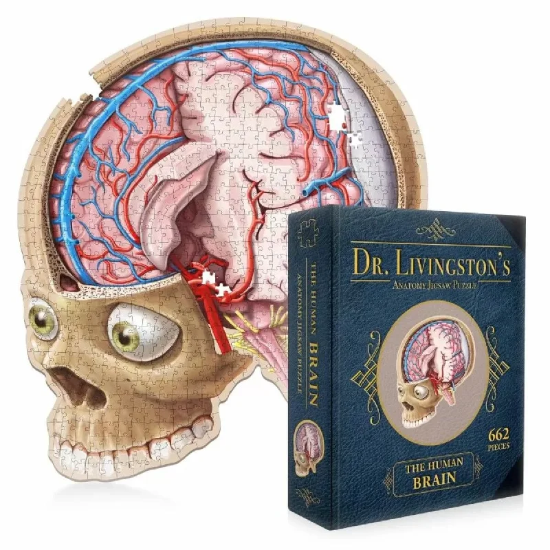 Dr. Livingston's Anatomy Jigsaw Puzzle: The Human Brain