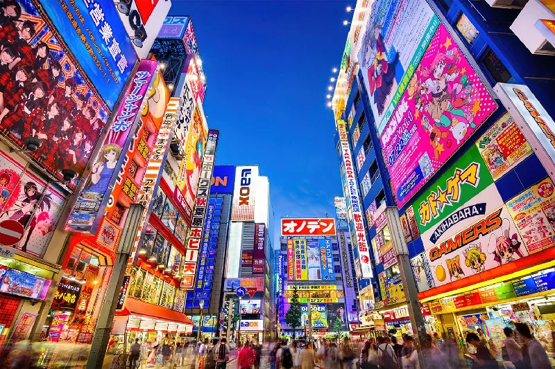 Evening In Akihabara Japan Puzzle For Adults And Kids | 1000 Piece Jigsaw Puzzle