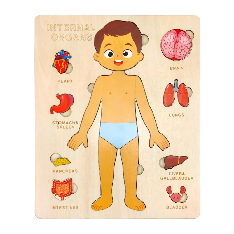 Wooden Body Puzzles For Kids, Toddler Montessori 14 Pieces Boy Anatomy Puzz