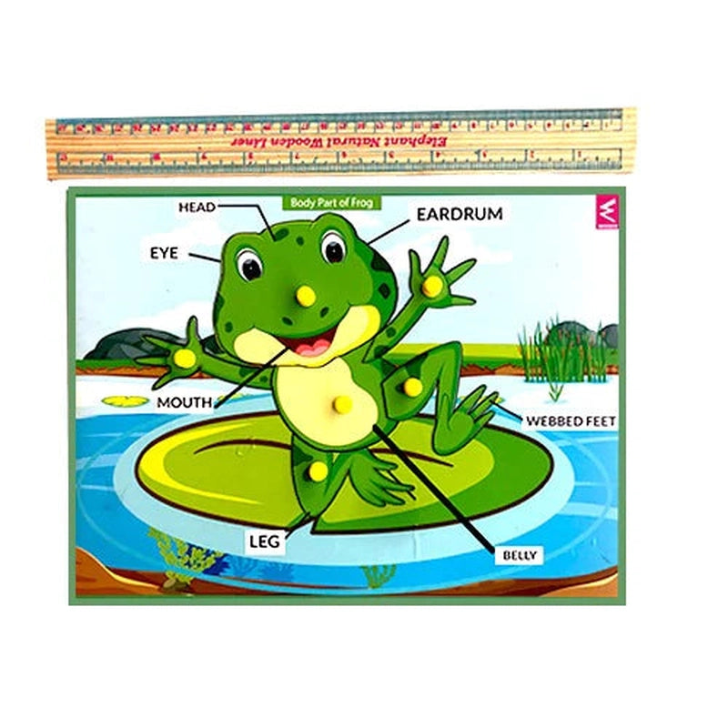 Wooden Frog Parts Learning Puzzle Peg Board