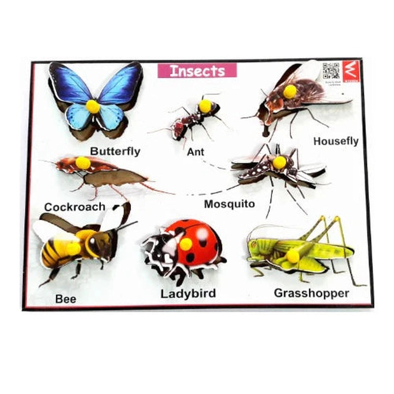 Wooden Insects Learning Educational Knob Tray